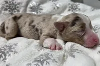 processed/0ad493bc-17e2-484a-af2d-00d70ab9b1fe/listing/2f6a4b00-fd98-491d-8a70-c319413d9093/e0bc52f7-716d-41ac-9049-bb82f87a8f9d