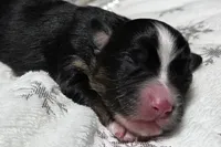 processed/0ad493bc-17e2-484a-af2d-00d70ab9b1fe/listing/a4bd80f1-7a0a-4fc3-b4ee-9e1f882de6f7/11f33b29-5ac0-4dbb-af01-01356f7481aa