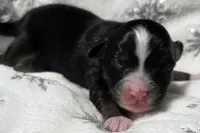 processed/0ad493bc-17e2-484a-af2d-00d70ab9b1fe/listing/a4bd80f1-7a0a-4fc3-b4ee-9e1f882de6f7/99571fe8-016a-4b0f-80ff-16fb4df05145