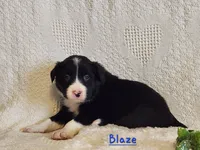 processed/0ad70d40-5e2b-4856-b23b-b9b9affa6239/listing/c533cc04-2508-4bc4-ba4f-57702006da4b/b60a7411-40a3-4bf0-a0c0-16a8ab97fb99