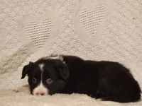 processed/0ad70d40-5e2b-4856-b23b-b9b9affa6239/listing/c533cc04-2508-4bc4-ba4f-57702006da4b/ca4e352c-b6ca-44ce-919d-1ed87b943482