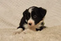 processed/0ad70d40-5e2b-4856-b23b-b9b9affa6239/listing/eb460c1e-c71a-496d-8e14-c3edb25974bb/13278494-2d42-4bff-a108-76c10e099e32