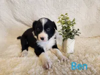 processed/0ad70d40-5e2b-4856-b23b-b9b9affa6239/listing/eb460c1e-c71a-496d-8e14-c3edb25974bb/62ab100b-ff6a-480f-a649-5b5ceeb7b401