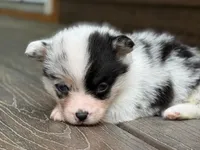 processed/0ae29a75-fa22-4d97-9cda-2790c38355f7/facility/16605cde-5ce2-47fb-99f3-43c36c9477c5