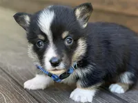 processed/0ae29a75-fa22-4d97-9cda-2790c38355f7/facility/58c4d766-6b19-4fd1-8cfd-84e26dadc780