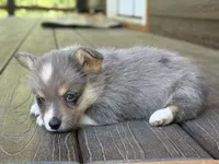 processed/0ae29a75-fa22-4d97-9cda-2790c38355f7/facility/6b271f06-5bc1-4a06-b6d2-489db9d341e3