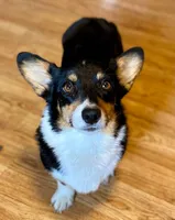 processed/0ae29a75-fa22-4d97-9cda-2790c38355f7/facility/80d6f21a-60f8-4371-8883-1d6f89de9f96