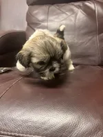 processed/0ae75b53-23f2-4449-bd8c-cc39182d2aac/listing/cca410b2-a9bd-476c-bc2c-99a4f83e8cc0/00f057e2-f646-431c-945c-75c7b0a92072