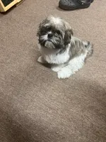 processed/0ae75b53-23f2-4449-bd8c-cc39182d2aac/listing/cca410b2-a9bd-476c-bc2c-99a4f83e8cc0/79c00bc6-2b44-458b-97fc-7c708ab66b48