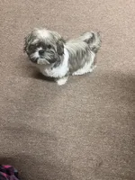 processed/0ae75b53-23f2-4449-bd8c-cc39182d2aac/listing/cca410b2-a9bd-476c-bc2c-99a4f83e8cc0/b53a49c5-8322-49c5-8949-90204d9ea853