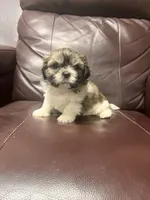 processed/0ae75b53-23f2-4449-bd8c-cc39182d2aac/listing/cca410b2-a9bd-476c-bc2c-99a4f83e8cc0/d3144c6f-373c-478e-85c9-5335129f6e31