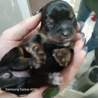 processed/0af3cde9-a521-4543-bb14-37d30fb52fd6/listing/28aa6157-3cf1-4216-8ee7-a2d6c1fb5542/5ce28a42-9e1a-4786-9eba-87291856d6e2