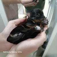 processed/0af3cde9-a521-4543-bb14-37d30fb52fd6/listing/28aa6157-3cf1-4216-8ee7-a2d6c1fb5542/aa96644a-9211-4d00-9fae-01383d77f55b