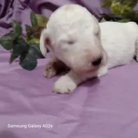 processed/0af3cde9-a521-4543-bb14-37d30fb52fd6/listing/48ab4c03-fbdd-4093-9ff8-5eb6a2dbf1ac/1e07ba1d-c21b-45b0-844b-d08fcaadfff4