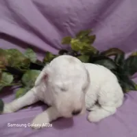 processed/0af3cde9-a521-4543-bb14-37d30fb52fd6/listing/48ab4c03-fbdd-4093-9ff8-5eb6a2dbf1ac/758c9e74-7d63-400f-8273-029b9e80b59a