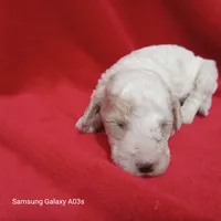 processed/0af3cde9-a521-4543-bb14-37d30fb52fd6/listing/b5d7887d-db5f-4ff1-a7f7-8ec85ba93574/2ce382d2-1b04-4a6d-918e-a7bf7025f0d3