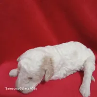 processed/0af3cde9-a521-4543-bb14-37d30fb52fd6/listing/b5d7887d-db5f-4ff1-a7f7-8ec85ba93574/87daaaa7-9e38-4d73-9ffa-f6bddea363ca