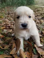 processed/0af3cde9-a521-4543-bb14-37d30fb52fd6/listing/dfcf9859-18d3-474c-a1fe-cf8048be1983/3ee1e4a0-79f4-4611-a832-cc0c5ef47b40