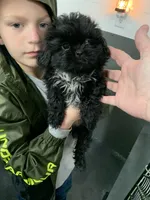 processed/0afdb2e8-cc41-4f38-bbc7-889cb878c5b1/facility/8a537d80-bfc8-4c97-8164-61c110cd1f2f