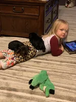 processed/0afdb2e8-cc41-4f38-bbc7-889cb878c5b1/facility/fbef98a0-7543-4e3f-8226-e2be8b5764a3