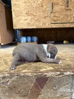 processed/0b086204-b1eb-4ed5-afa6-8524a7262457/listing/03590927-a11e-46cd-a9c6-e41f4ed9a4d5/0d0e0c0b-9d03-4d5f-8540-45423bbc7d66