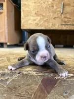 processed/0b086204-b1eb-4ed5-afa6-8524a7262457/listing/03590927-a11e-46cd-a9c6-e41f4ed9a4d5/190899f4-65b5-4522-889a-efb387e6488d