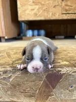 processed/0b086204-b1eb-4ed5-afa6-8524a7262457/listing/03590927-a11e-46cd-a9c6-e41f4ed9a4d5/8d3b913e-4bae-499b-850c-840ef03f0ad9