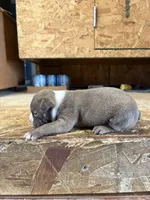 processed/0b086204-b1eb-4ed5-afa6-8524a7262457/listing/03590927-a11e-46cd-a9c6-e41f4ed9a4d5/a8d5ea03-eda4-4555-a778-281e16e5aa8c