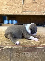 processed/0b086204-b1eb-4ed5-afa6-8524a7262457/listing/63a2b1ee-917e-435e-bab3-a5c24612311b/5b17643e-01b1-442d-858a-49651e37eb6b