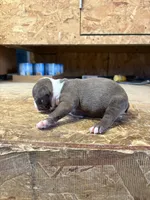 processed/0b086204-b1eb-4ed5-afa6-8524a7262457/listing/63a2b1ee-917e-435e-bab3-a5c24612311b/fdbee754-c1c9-45bc-aaa1-99a75636064c