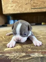 processed/0b086204-b1eb-4ed5-afa6-8524a7262457/listing/77735bc5-1a17-4a13-938e-c4a5bf58095c/432d693b-5c6d-4d79-bfda-7d5711389c6b