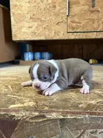 processed/0b086204-b1eb-4ed5-afa6-8524a7262457/listing/77735bc5-1a17-4a13-938e-c4a5bf58095c/52dec74b-b5ee-4904-8240-0afe0b6f2228