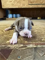 processed/0b086204-b1eb-4ed5-afa6-8524a7262457/listing/77735bc5-1a17-4a13-938e-c4a5bf58095c/595b1418-df27-4f8c-9885-3bf6584e16d0