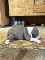 processed/0b086204-b1eb-4ed5-afa6-8524a7262457/listing/77735bc5-1a17-4a13-938e-c4a5bf58095c/da54c5bf-7ed0-44f5-a846-c16de33a87da