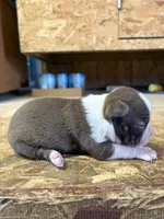 processed/0b086204-b1eb-4ed5-afa6-8524a7262457/listing/ae0fee13-9fe9-4ccc-8b5e-50dbe78c0532/d972ba64-af72-4892-93f3-0390283d4304