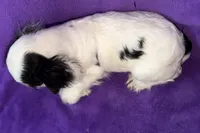 processed/0b0910b8-35b4-49c7-979a-420dd59cbc3e/listing/13cdcb0c-af61-4b7b-9ed2-5dd649ea5e5d/c795bbbb-3163-4d60-88ff-24a975747b97