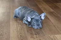 processed/0b0910b8-35b4-49c7-979a-420dd59cbc3e/listing/1951e367-4220-4176-8019-370195f2d212/1e368f41-b186-4f5a-a1e3-4a1de251fa66