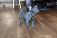 processed/0b0910b8-35b4-49c7-979a-420dd59cbc3e/listing/1951e367-4220-4176-8019-370195f2d212/460b9115-c1ea-48c4-8fd9-984c369c0172