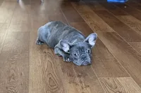 processed/0b0910b8-35b4-49c7-979a-420dd59cbc3e/listing/1951e367-4220-4176-8019-370195f2d212/57a62e96-fc45-45f1-a44e-a02240bc2441