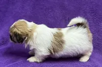 processed/0b0910b8-35b4-49c7-979a-420dd59cbc3e/listing/218a4cea-cc20-4e7c-9e53-a75aaaa7285d/eac269d5-4f24-4b12-a1de-4641f9a30651