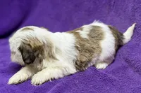 processed/0b0910b8-35b4-49c7-979a-420dd59cbc3e/listing/488862d8-013d-4b6e-8d96-bb3630c47d46/561e1186-1f9a-447e-87d2-ee336ac437ed