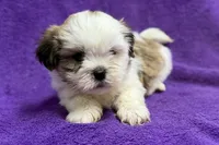 processed/0b0910b8-35b4-49c7-979a-420dd59cbc3e/listing/488862d8-013d-4b6e-8d96-bb3630c47d46/5878b8f4-4e3d-4895-b2f1-806f618deed8