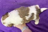 processed/0b0910b8-35b4-49c7-979a-420dd59cbc3e/listing/488862d8-013d-4b6e-8d96-bb3630c47d46/e2ad947d-2a11-49b1-bf3c-ebdfff2f56ce