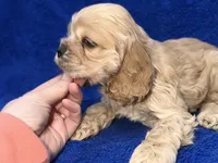 processed/0b0910b8-35b4-49c7-979a-420dd59cbc3e/listing/604130be-903d-44d9-8831-87e0eed6484b/00deb2a1-4b7e-4ce6-8220-979352c180b7