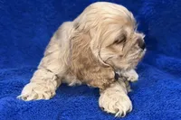 processed/0b0910b8-35b4-49c7-979a-420dd59cbc3e/listing/604130be-903d-44d9-8831-87e0eed6484b/0eebce10-22b9-4c3e-b071-07a8176c83f6