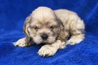 processed/0b0910b8-35b4-49c7-979a-420dd59cbc3e/listing/604130be-903d-44d9-8831-87e0eed6484b/d86527f8-b330-408a-a6ac-da8f9790cbd2