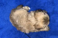 processed/0b0910b8-35b4-49c7-979a-420dd59cbc3e/listing/76996205-f349-418a-ae89-26005dce6b4a/36b1537d-9d5e-4256-ab70-a11621d54131