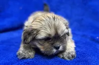 processed/0b0910b8-35b4-49c7-979a-420dd59cbc3e/listing/76996205-f349-418a-ae89-26005dce6b4a/82060bca-bca9-4c19-950a-7aafc4315d10