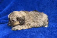 processed/0b0910b8-35b4-49c7-979a-420dd59cbc3e/listing/76996205-f349-418a-ae89-26005dce6b4a/f9d03e8d-6c5e-4367-a275-c1f3ea733e32