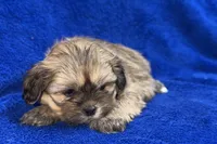 processed/0b0910b8-35b4-49c7-979a-420dd59cbc3e/listing/76996205-f349-418a-ae89-26005dce6b4a/fa04a0eb-8858-4669-b857-115395b073b1